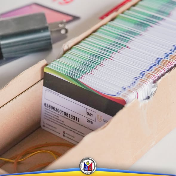 Mga plastic card na nakaayos sa kahon, para sa fuel subsidy ng mga mangingisda sa Naic