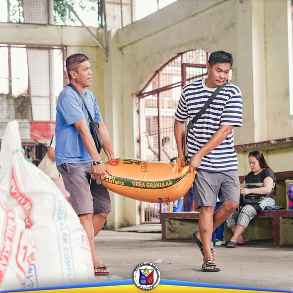 Dalawang lalaki na nagbubuhat ng sako ng Urea Granular fertilizer sa Naic Covered Court