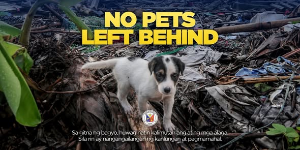 Poster: NO PETS LEFT BEHIND, sa gitna ng bagyo, huwag nating kalimutan ang ating mga alaga