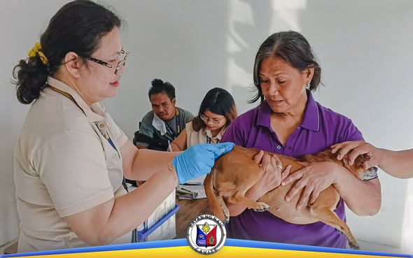 Bakunahan ng aso laban sa rabies sa Barangay Hall ng Balsahan, Naic, Cavite
