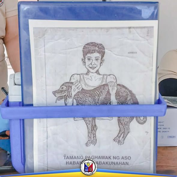 Poster: Tamang Paghawak ng Aso Habang Binabakunahan, ilustrasyon ng batang yakap ang aso sa anti-rabies vaccination