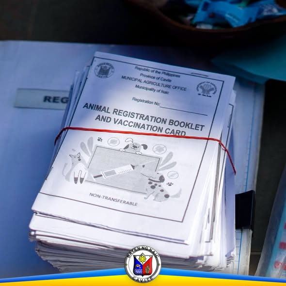 Mga Animal Registration Booklet at Vaccination Card na nakatali sa mesa para sa anti-rabies vaccination sa Naic