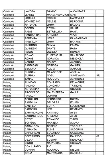 Dokumento: listahan ng mga pangalan ng senior citizen sa Calubcob at Halang para sa Social Pension validation