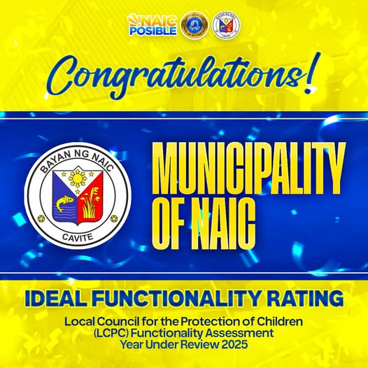 Congratulations graphic: Municipality of Naic, Ideal Functionality Rating, LCPC Functionality Assessment 2025