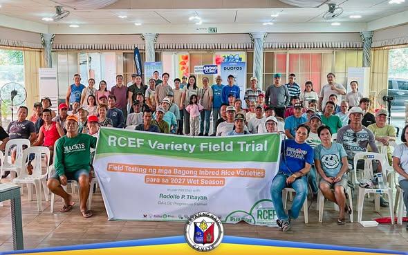 Poster: RCEF Variety Field Trial, field testing ng mga bagong inbred rice varieties para sa 2027 wet season