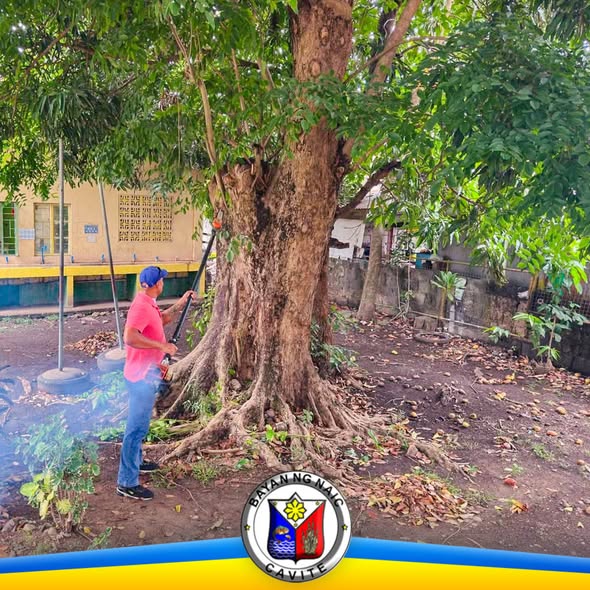 Lalaking nagpuputol ng sanga ng puno sa bakuran ng paaralan habang may clean-up operation