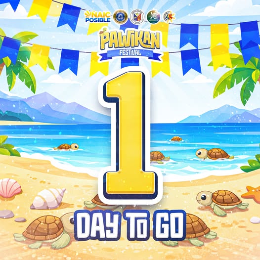 Poster: Pawikan Festival, 1 Day to Go, may mga pawikan sa dalampasigan ng Naic