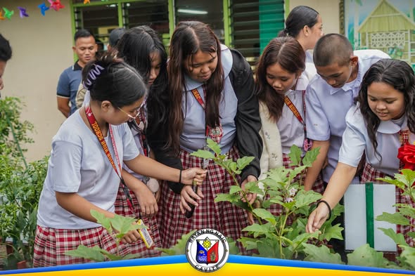 Mga estudyante ng Naic Coastal NHS habang tinitingnan at inaalagaan ang mga tanim sa techno demonstration