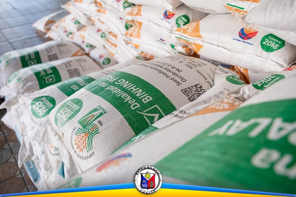 Mga sako ng binhing palay na nakahanay para sa RCEF seeds distribution sa Naic