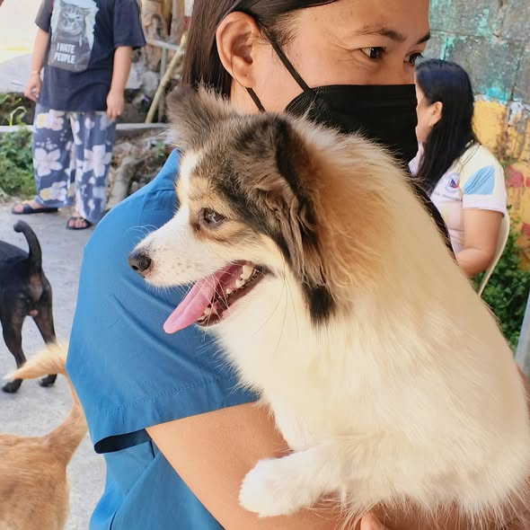 Babaeng nagbabakuna ng aso laban sa rabies habang hawak ang alaga sa Barangay Halang, Naic