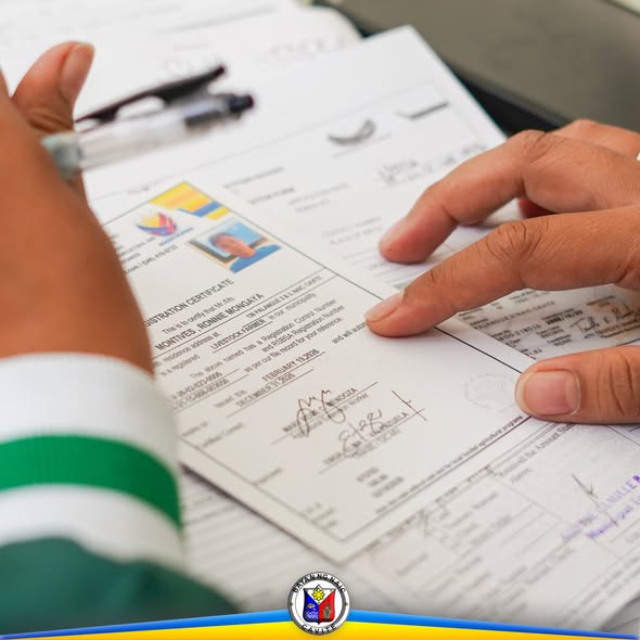 Dokumento: Livestock and Poultry Farmers Registration certificate, hawak at itinuturo ng kamay sa mesa