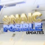 Title card: NAIC POSIBLE UPDATES, pamagat ng lingguhang balita ng Municipality of Naic