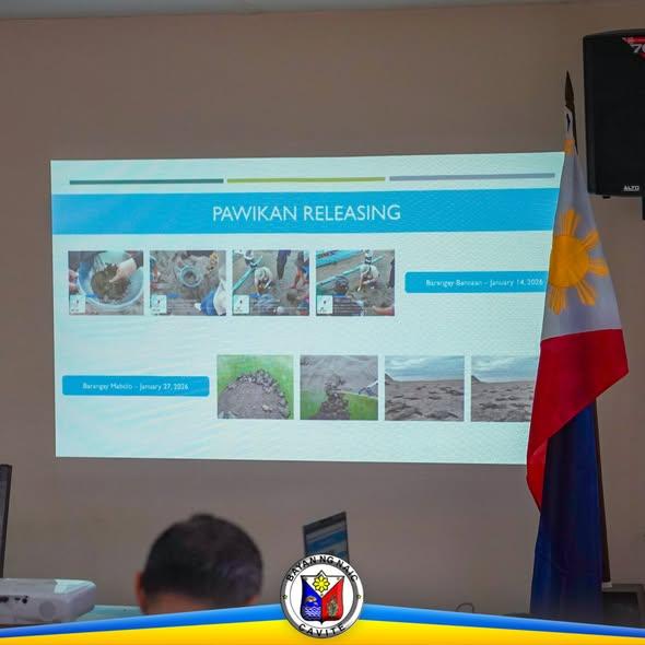 Slide na may pamagat na Pawikan Releasing, may mga larawan mula Bancaan at Malainen sa pulong ng MSWMB sa Naic